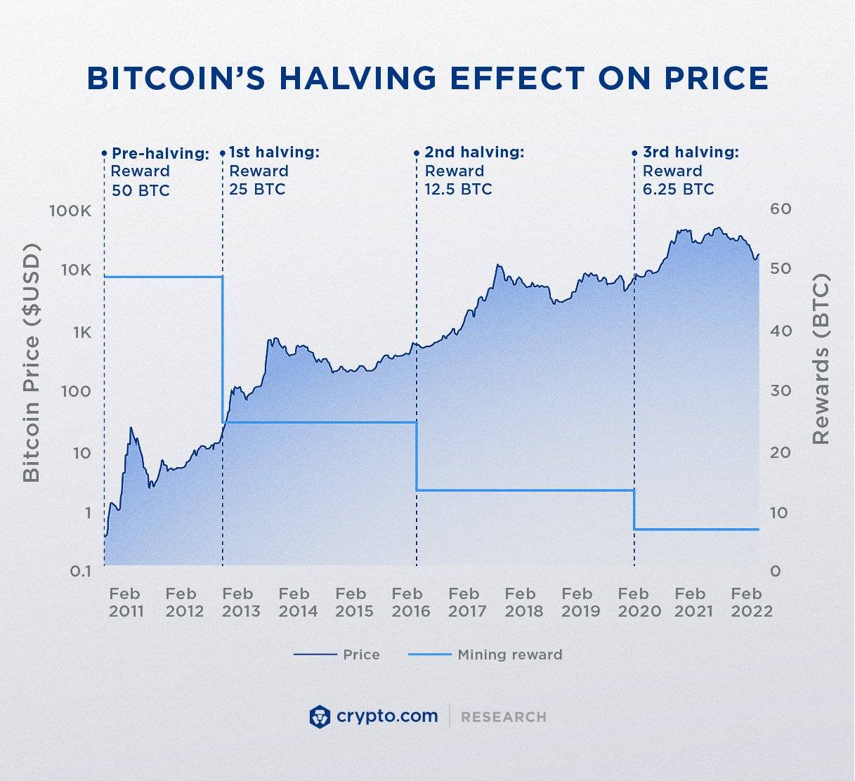 Biến động của giá Bitcoin sau mỗi mùa Having. Nguồn Crypto.com